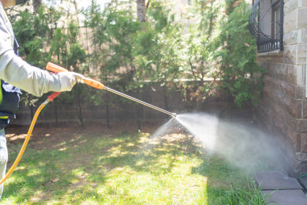 Best Pest Inspection Near Me  in Cockrell Hill, TX