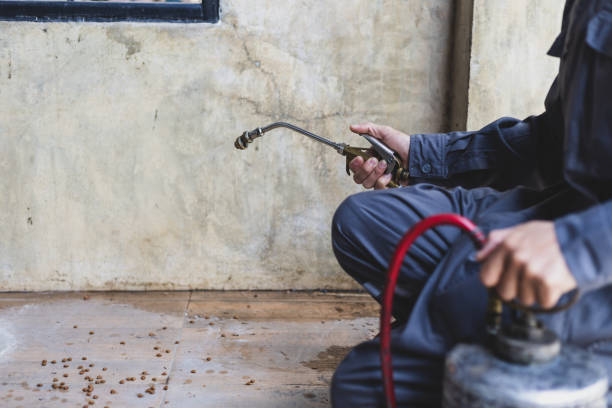 Best Exterminator Services  in Cockrell Hill, TX